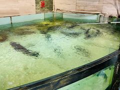 -楚鱼王·河鲜·湖北菜(华农店)