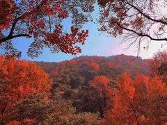 -广州市石门国家森林公园