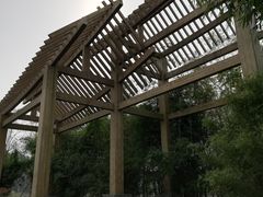 -桤木河湿地公园