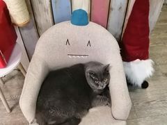 -小时光咖啡馆(开森度假森林店)