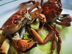 -八仔大富楼·河鲜(西江店)