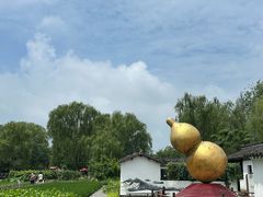 -溱湖国家湿地公园