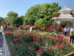 -东湖落雁景区