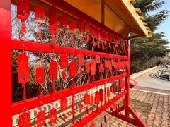 -石老人观光园