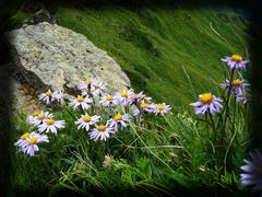 -小五台金河景区