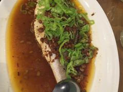 -南堂馆·新川菜(春熙路店)