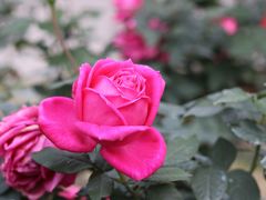 -人民公园(罗湖区)