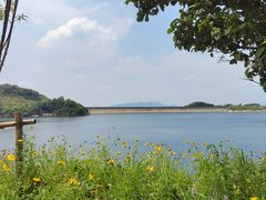 -长沙黑麋峰国家森林公园