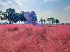 -汉长安城未央宫国家考古遗址公园