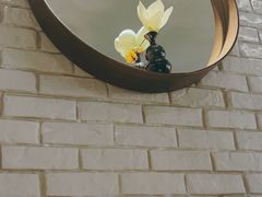 -梧桐树下(云锦世家店)