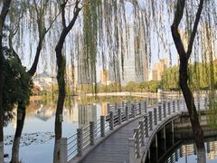 -后襄河公园