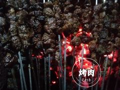 -牛背梁国家森林公园