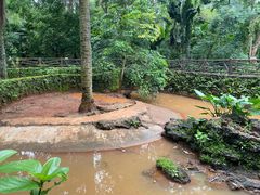 -海南热带野生动植物园