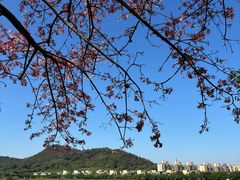 -风云岭森林公园