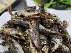 -力哥地道海南菜·联谊文昌鸡老店