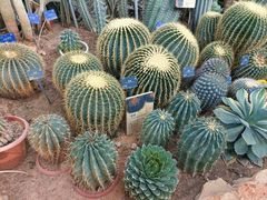 -国家植物园南园