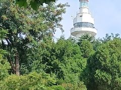 -烟台山景区