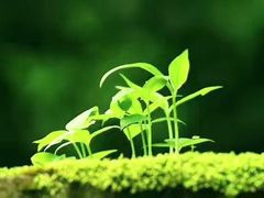 -丹东天桥沟景区