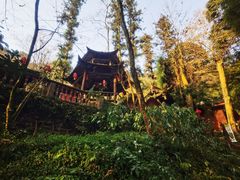 -青城山