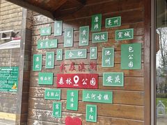 -合肥滨湖国家森林公园