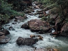 -广州白江湖森林公园