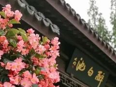 -上海醉白池公园