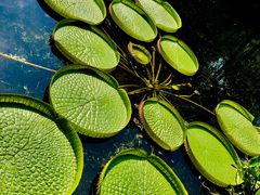 -上海滨江森林公园