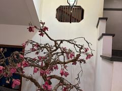 -天天鱼港·海鲜·鲅鱼水饺·招牌烤鸭(黄骅店)