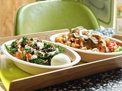 -油梨树AVOCADO TREE(顺义新国展店)