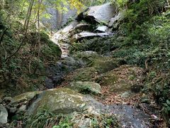 -梧桐山风景名胜区