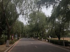 -丁香湖公园