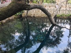 -蝴蝶泉公园