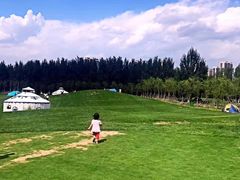 -长白岛森林公园