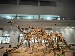 -自贡恐龙博物馆