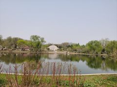 -石家庄市植物园
