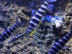 -成都浩海立方海洋公园