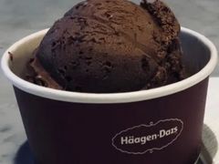 比利时巧克力品脱冰淇淋-哈根达斯(SM店)