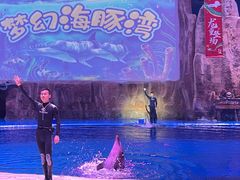 -华夏文旅海洋公园