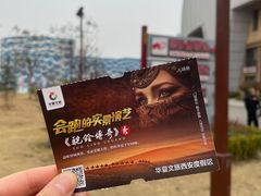 -《驼铃传奇》秀