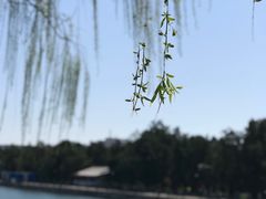 -东华门大街小区