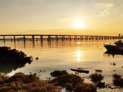 -海堤纪念公园
