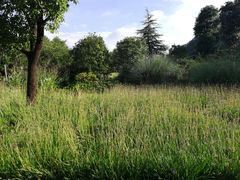 -贵阳市花溪国家城市湿地公园