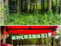 -黄海国家森林公园