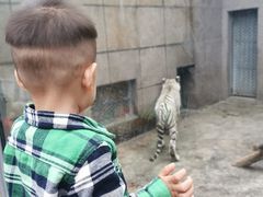 -西安秦岭野生动物园