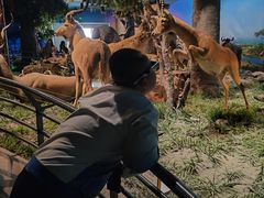 -国家自然博物馆