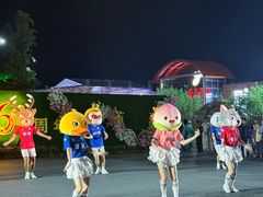 -荷兰花海