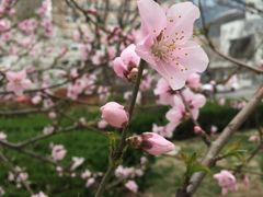 -青岛市图书馆