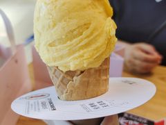 -野人先生现做冰淇淋(北京环宇荟店)