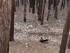 -青州市云门山风景区