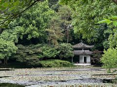 -杭州植物园